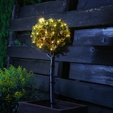 thumbnail of LED Lichternetz Lichterkette Buchsbaum Kugelnetz für Außen 80cm grün