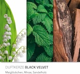 thumbnail of Black Velvet Duftkerze Candle Brothers, Kerze im Glas, 2 Dochte, 510g, 100h Brenndauer, Raumduftkerze