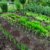 thumbnail of Relaxdays Trittstein Garten, Blatt-Design, Gusseisen, Trittplatte für Rasen & Beet, 26 x 32 cm, Trittsteinplatte, braun