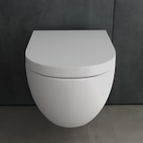 thumbnail of Alpenberger Toilette mit Geberit Spülkasten und Drückerplatte | Spülrandloses Hänge WC mit Bidet Funktion | Dusch WC mit WC Sitz | Vorwandelement WC