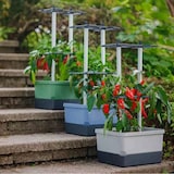 thumbnail of Gusta Garden Charly Chili Drinnen/Draußen Topfpflanzer Freistehend Polypropylen (PP), Aluminium Blau
