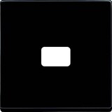 thumbnail of Busch-Jaeger Wippe anth 1720-81 2CKA001731A1914