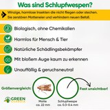 thumbnail of Schlupfwespen gegen Kleidermotten: 4x Lieferungen zur Vollbehandlung / 3
