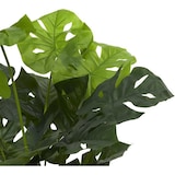 thumbnail of NATURN LIVING Monstera Deliciosa de Plástico - ø 16,5 x 70 cm - Planta Agujero - Plantas Falsas - Planta de Queso Suizo - Verde