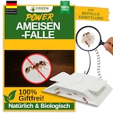 thumbnail of Ameisen Falle mit Spezial-Lockstoff: 15