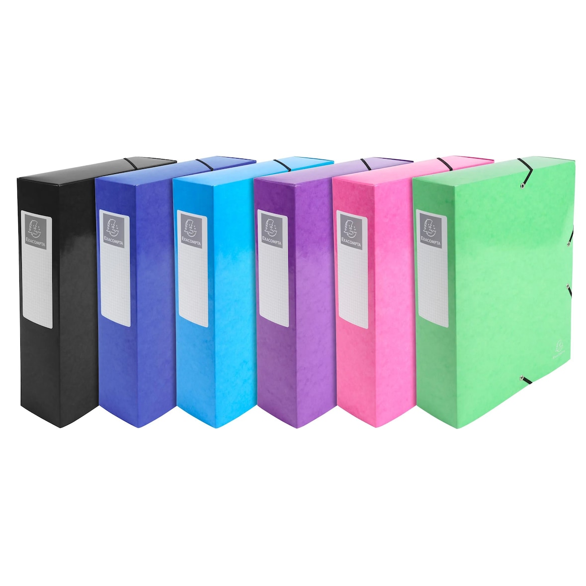 Exacompta Cod. 50729E - Cartella portaprogetti Iderama dorso 80mm, consegnata montata, cartoncino lustré 600 g/mq - 25x33cm assortite - Conf.da  6 pz