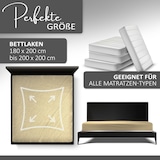 thumbnail of Spannbettlaken Boxspringbett 100% Baumwolle 180-200x220 cm Gelb