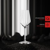 thumbnail of Spiegelau Lifestyle Champagnergläser 310 ml 12er Set