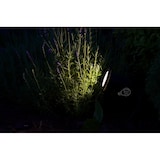 thumbnail of Außenleuchte Gartenstrahler mit Erdspieß HORTUS BLACK IP65 GU10 schwarz EDO777112 EDO