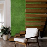 thumbnail of Rollo Jardin Vertical Moss 100 X 100