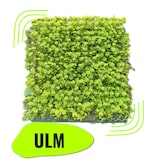 thumbnail of GeckoParete "ULM" | Parete vegetale verde fiori premium | Rivestimento boiserie gastronomia | Montaggio piante artificiali | Pannelli murali muschio