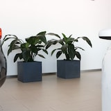 thumbnail of WellHome - Würfeltopf Dan-i 57L in Anthrazit