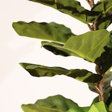 thumbnail of Pianta artificiale Ficus lyrata 135 cm - Naturing Monde - Interni