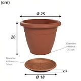 thumbnail of Jarrón redondo Ø25x20h cm + Platillo