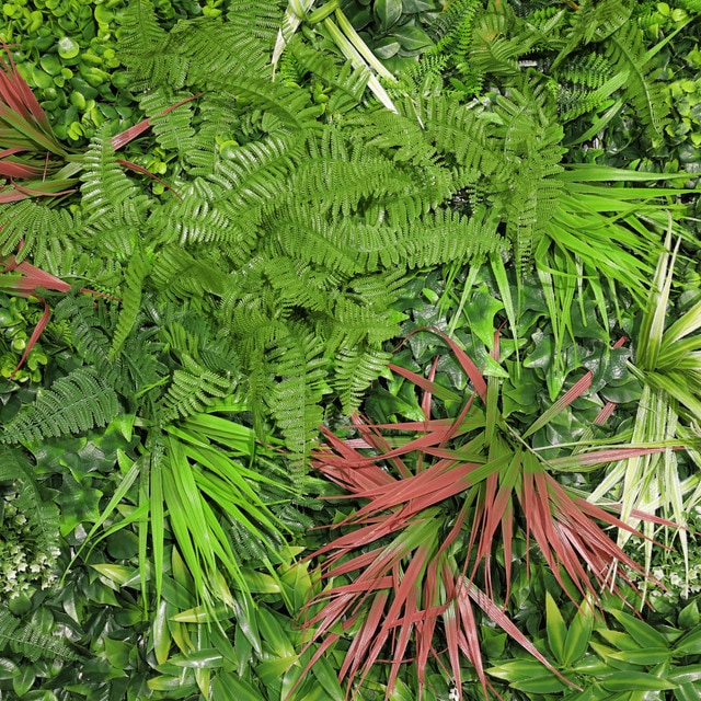 mobile_image