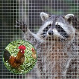 thumbnail of Drahtgitter feinmaschig - Maschenweite 6,3 mm - verzinkt - Metallgitter als Volierendraht / 1 x 5 m