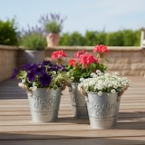 thumbnail of Relaxdays Blumentopf Set, 3 Übertöpfe "Grüner Garten", H x D: 12,5 x 14 cm, Kräutertopf mit Henkel, Eisen & Jute, silber