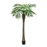 thumbnail of EUROPALMS Phönixpalme luxor, Kunstpflanze, 300cm
