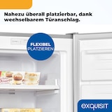 thumbnail of Exquisit Gefrierschrank, 161 Liter, No-Frost, LED-Anzeige, leise, GS5231-NF-H-040C inoxlook