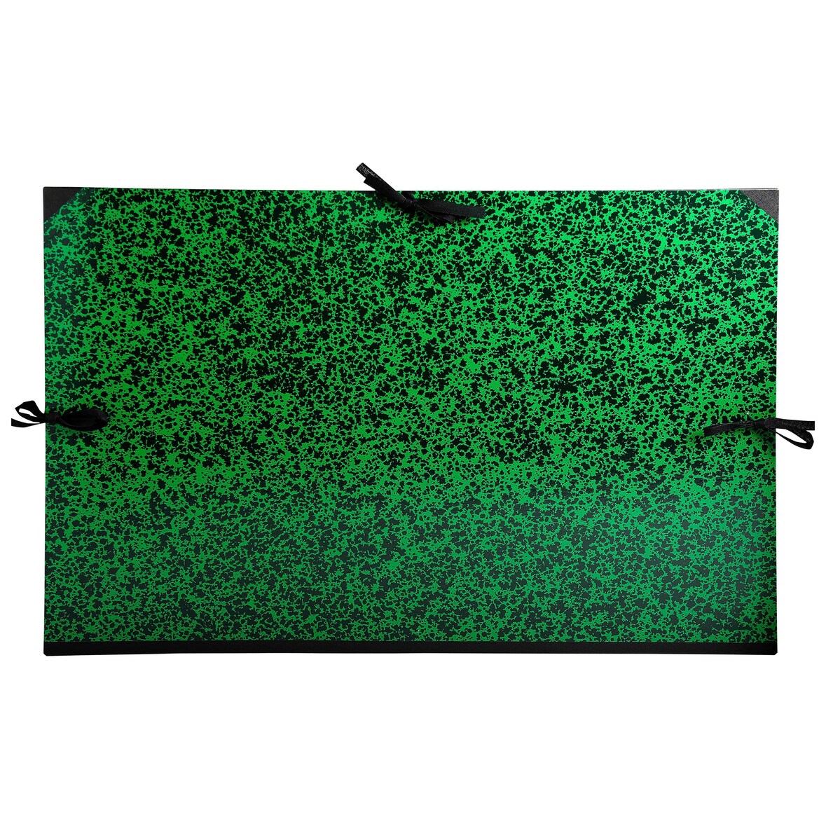 Exacompta 533600E 2x Zeichenmappe mit Bändchen für Großformate Annonay, 80x120cm - Grün
