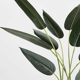 thumbnail of Planta artificial en maceta Strelitzia 90 cm - Oviala