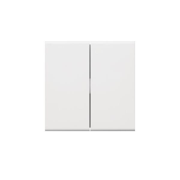Tehalit Wippe 2-fach für Schalter/ GW2B vws GW2B9016