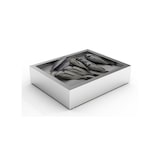 thumbnail of Professionele GN 2/1 container voor gemalen ijs – buffetpresentatie, roestvrij staal