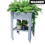 thumbnail of WAGNER Design - Lenkrollen soft 4tlg. Set - Ø 50 mm, Stahl verzinkt, Anschraubwinkel, Tragkraft je 50 kg - 02315000