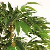 thumbnail of Dracaena artificial de 153 cm - Naturing Monde - Interior - Alta qualidade - Tronco natural