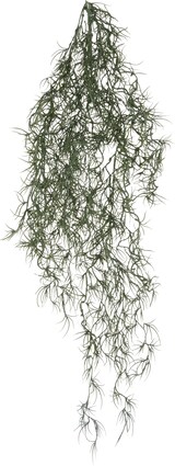 thumbnail of CREATIV green künstliche Pflanze Tillandsia-Hänger Set, graugrün, ca. 80 cm, im 6er Set