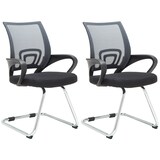 thumbnail of 2er Set Freischwinger Eureka grau