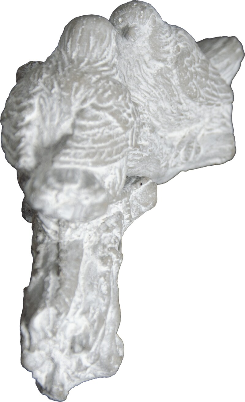 mobile_image