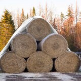 thumbnail of ECD Germany Abdeckplane Gewebeplane mit Ösen 6x8 m 48m² 260g/m² Weiß aus Polyethylen Schimmelresistent Wasserdicht Reißfest Schutzplane Bootsplane