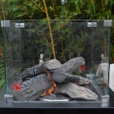 thumbnail of Heizstrahler FUEGO Gasheizstrahler Terrasse Terrassenfeuer Feuerstelle Heizpilz 8kW mit Rollen in schwarz