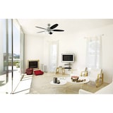 thumbnail of Westinghouse Arius Deckenventilator  (Ø) 132 cm Flügelfarbe: Weiß, Schwarz Gehäusefarbe (Details): C