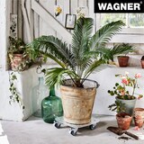 thumbnail of WAGNER Pflanzenroller ALASKA 29 x 29 x 7,5 cm, Alu Riffelblech, Softrollen&Bremsen, Tragkraft 100 kg, DE Ware - 20700301