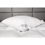 thumbnail of HS90 Kissen 80x80 1000 + 200 Gr. FEDERN + DAUNEN  3-Kammer 1200 G