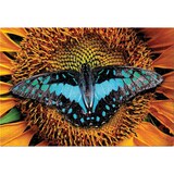 thumbnail of Interdruk Puzzle 250 Teile Bunte Natur 2 Schmetterling