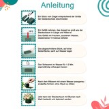 thumbnail of 4 Nass Steckschaum Rund 8x5cm Frischblumen Schnittblumen Blumen Steckmasse Steckschwamm Blumensteckschaum Floristik Zubehör Floristikbedarf Uni Grün