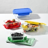 thumbnail of Benetton - 4er-Set rechteckige luftdichte Behälter 840 ml Borosilikat grüner Deckel Regenbogen Be