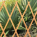 thumbnail of Treliça extensível de madeira colorida extensível 40x180cm