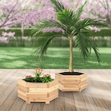 thumbnail of Pflanzkasten Holz 6-eckig MICHA - Inkl. Vlies und Handschuhe | Pflanzkübel Tannenholz Blumenkasten Blumenkübel Blumentopf Terrasse, 46cm Breit