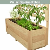 thumbnail of Pflanzkasten mit Rankgitter THIO Inkl. Vlies & Handschuhe, Hochbeet mit Rankhilfe Blumenkasten für Kletterpflanzen hängende Körbe, 98cm Breit