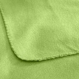 thumbnail of Polar Fleecedecke 130x160 OEKO-TEX ca. 400g Gewicht, mit Antipilling & Kettelrand - Farbe grün