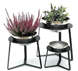 thumbnail of DanDiBo Blumenhocker Metall mit Topf Schwarz Silber Blumenständer 96091 3er Set Blumensäule Modern Pflanzenständer Pflanzenhocker