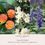 thumbnail of Laura Ashley Duftöl Geschenkset, Lotus & Orchid, Sandalwood & Sage, Ylang Ylang & Musk, 3 x 10ml, Glas, Raumduft