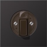 thumbnail of Jung Abdeckung AL 1941 D AL1941D