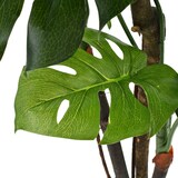 thumbnail of vidaXL Künstliche Monstera Fensterblatt mit Topf 170 cm Grün