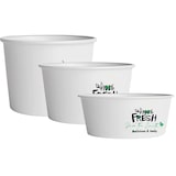 thumbnail of HOSTELBIO Vaso grande de helado cartón blanco 8oz 240ml. | 1000 unidades