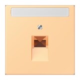 thumbnail of Jung Abdeckung für IAE/UAE LC 969-1 NAUA 258 LC969-1NAUA258